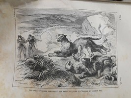old Engraving Print Historie D´une Ménagerie les deuc officiers   (Canada) - £13.47 GBP