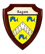 Regan Irish Coat of Arms Shield Plaque - Rosewood Finish - £34.11 GBP