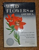 Wild Flowers of America: 400 flowers in full color H.W. Rickett; Mary Vaux Walco - £59.16 GBP