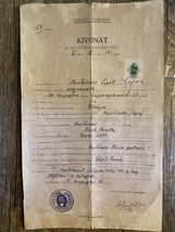 Vecchio documento d&#39;epoca Ungheria estratto dal registro nascite Rabbina... - $30.29