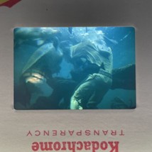 35mm Slide Diving Suit With Sea Turtle 1965 Underwater Dive Helmet Diver - £9.90 GBP