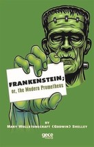 Frankenstein or the Modern Prometheus  - £11.24 GBP
