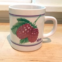 Vintage Knotts Berry Raspberry Fruit Illustrated Coffee Mug - $14.25