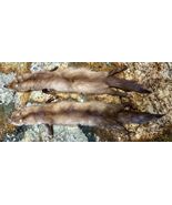 Vintage Pair Full Body Real Mink Fur Pelts w/ Heads &amp; Tails — Stole Part... - $49.49
