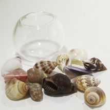 Glass Bowl of Tiny Seashells Dollhouse Miniatures by Beth #7045 - £11.23 GBP