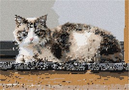 Pepita Needlepoint kit: Cat On Wood, 10&quot; x 7&quot; - £39.87 GBP+