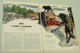 1954 Magazine Picture Man w Rifle Shoots at Wolf Wolves Illustrated Amos... - £8.29 GBP