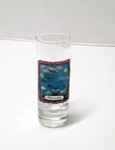 Florida Souvenir Shot Glasses Dolphins Ocean Coral Glasses State Glass - $8.56