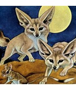 Fennec Fox Desert 1954 Art Print Paul Bransom Marlin Perkins Zooparade D... - €34,45 EUR