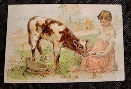 Victorian Trading Card Child with Calf Arbuckle&#39;s Ariosa Coffee of NY &amp; ... - £6.71 GBP