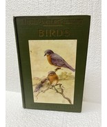Birds Worth Knowing (Little Nature Library) 1917 by Neltje Blanchan - $57.21