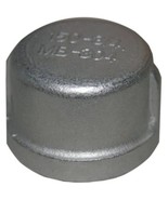 LASCO 32-2959 3/4-Inch Female Pipe Thread Type 304 Stainless Steel Cap - $29.00 CAD