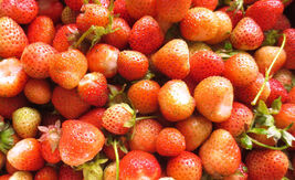 Item image 1 image 1