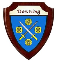 Downing Irish Coat of Arms Shield Plaque - Rosewood Finish - $48.00