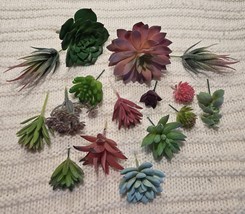 Lot of 16 Realistic Faux-Artificial Succulent Plants New - $408.64 MXN
