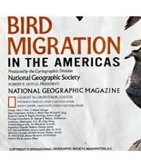 Map Of Bird Migration In Americas 1979 National Geographic 2 Sided Vinta... - €34,72 EUR