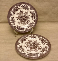 Royal Stafford Asiatic Pheasant brown and cream salad or bread plates set of 2 - £15.81 GBP