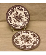Royal Stafford Asiatic Pheasant brown and cream salad or bread plates se... - £15.68 GBP