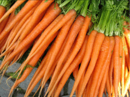 Seeds Carrot Tendersweet Organic Heirloom Non Gmo Fresh - £7.73 GBP