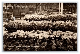 RPPC IN Vaso Pianta Dipartimento Aalsmeer Fiore Asta Olanda Unp Cartolina U8 - $9.16