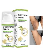 Intimate Areas Skin Lightening Cream Bleaching Cream For Body Intimate Area - $276.60 MXN