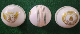 SNICK t20 SPECIAL Cricket balls ( 25-30 overs) - Box of 6 - £70.76 GBP