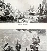 Dutch Whalers In Arctic Seas 1926 Nautical Antique Print Whale Hunting D... - $366.69 MXN