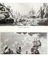 Dutch Whalers In Arctic Seas 1926 Nautical Antique Print Whale Hunting D... - $28.01 CAD