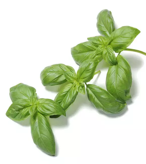 Basil Super Sweet Chen Organic 500 Seeds - $14.06