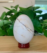 Burma Teak Marble Egg W Stand Crystal Healing Root Chakra Meditation 3&quot; 1/2 LB - £6.95 GBP