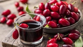 Fresh 10 Cornelian Cherry Seeds for Garden - €6,88 EUR