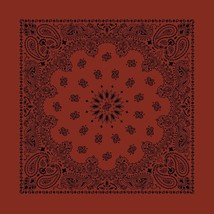 Carolina Creative Bandanna (Terracotta) Contemporary Paisley 22 x 22 100... - $7.61