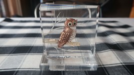 Beautiful Vintage Signed Wald Carved Lucite Art Owl 3.5&quot; - £30.69 GBP