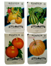 Halloween Gourds Pumpkins Seed Packs EMPTY Vintage Lot Of 4 Gourds Sugar Green - £6.45 GBP