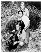 Daktari classic TV Marshall Thompson Yale Summers Cheryl Miller &amp; chimps 8x10 - £9.43 GBP
