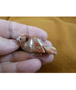 (Y-BIR-PEA-13) baby red white PEACOCK carving SOAPSTONE Peru love peacocks - €7,40 EUR