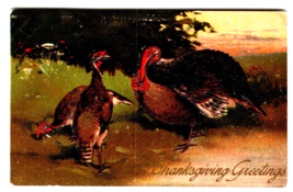 Postcard Thanksgiving Greetings Wild Turkeys Embossed PFB Germany 1913 Vintage - $10.45