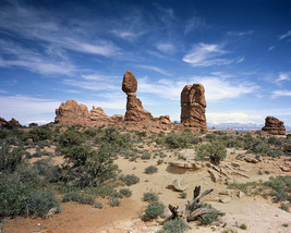Balanced Rock in Arches National Park in Grand County Utah Photo Print - £7.04 GBP+