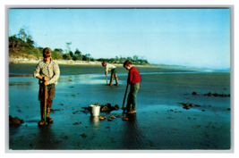 Vintage Razor Clam Digging Washington state Pacific Ocean Beach Postcard - £3.90 GBP