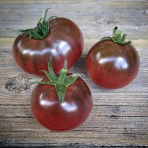 Karma Purple Tomato - 10+ seeds - P 406 - £1.55 GBP