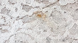 Vintage Lace Tablecloth 67x100 Light Beige Pink Floral Rose Pattern Rectangular image 6