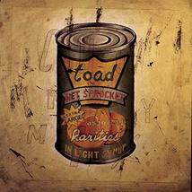 In Light Syrup [Audio CD] Toad The Wet Sprocket - £4.59 GBP