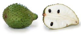 5 Pc Seeds Annona Muricata Fruit Plant, Soursop Seeds for Planting | RK - £13.26 GBP