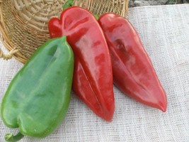 Long fleshy pepper seeds, Sweet Pepper seeds Plovdivska Kapiya,Bulgarian sweet p - £3.39 GBP
