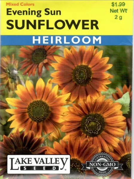 Sunflower Evening Sun Heirloom Non Gmo Flower Seeds Lake Valley 12/24 Fresh New - £6.81 GBP
