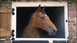 Item image 1 image 1