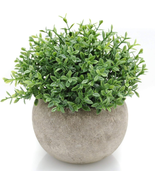 Mini Sage Green Potted Boxwood Topiary Artificial Plants for Home Decor ... - €14,39 EUR Mini Sage Green Potted Boxwood Topiary Artificial Plants for Home Decor ... - €14,39 EUR
