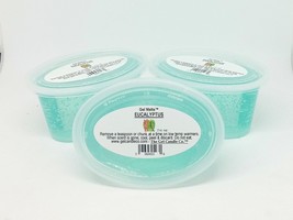Eucalyptus Mint scented Gel Melts for tart/oil warmers - 3 pack - £7.82 GBP