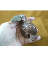 (y-bir-to-402) little red Toucan tropical bird soapstone carving love to... - $330.40 MXN