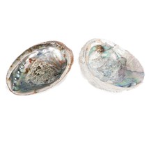 6&quot; Abalone Shells Unpolished Exterior Trinket Dish Jewelry Smudge Tray B... - £40.95 GBP